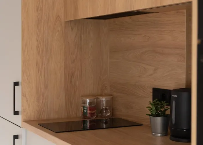 Apartamento Stylowy W Centrum Poznania Poznan